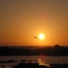 080_Essaouira